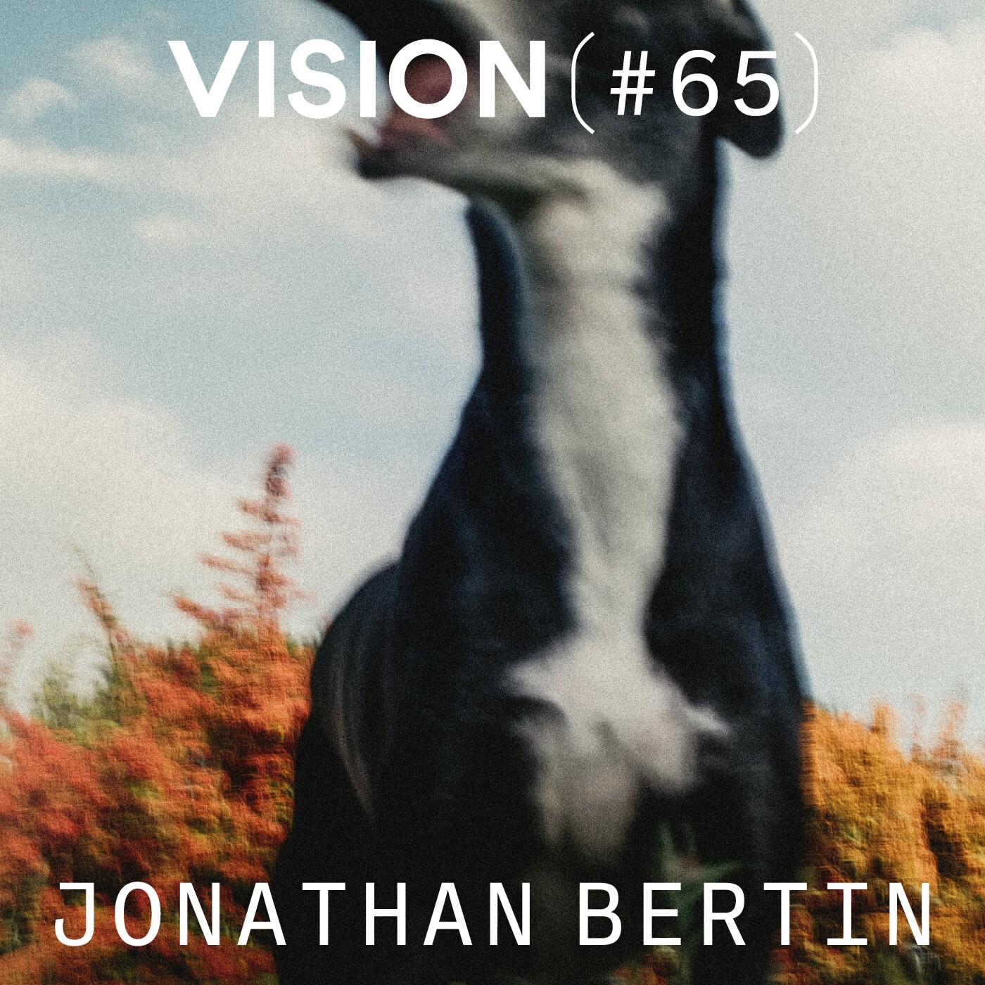 VISION #65 â JONATHAN BERTIN | Le parcours dâun passionnĂ©, dâinternet au livre photo