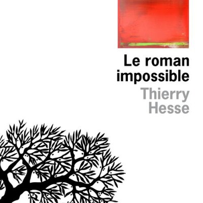 Le roman impossible cover