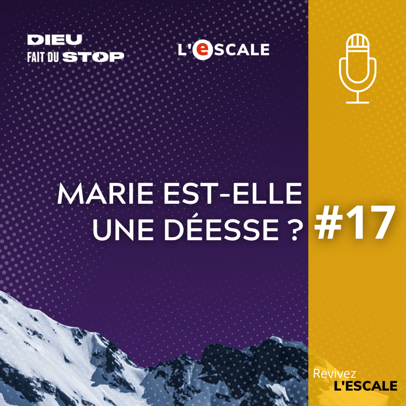 S04%2317 – La vierge Marie est-elle une déesse ?