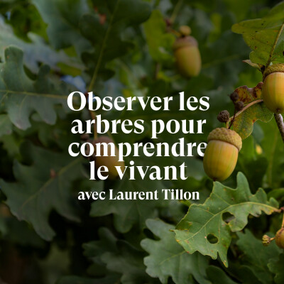 « J'ai eu l'impression de renaître auprès de ce chêne » - Entretien avec Laurent Tillon, forestier écrivain 🌳 cover