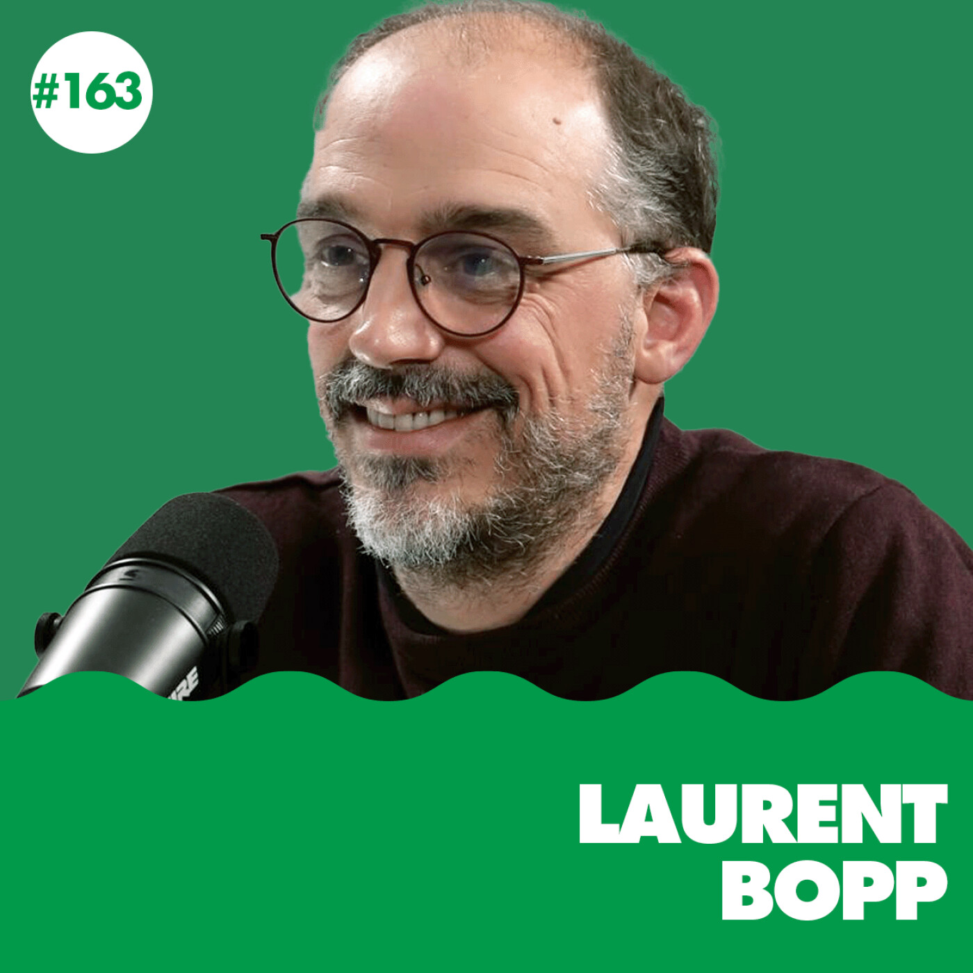 #163 - Les puits de carbone vont-ils s'effondrer ? - Laurent Bopp