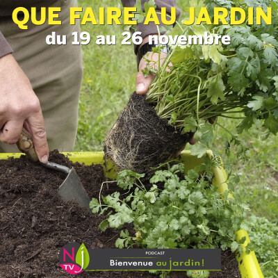 QUE FAIRE DANS LE JARDIN DU 19 AU 26 NOVEMBRE ? cover