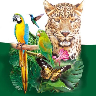 Les bruits de la Colombie cover