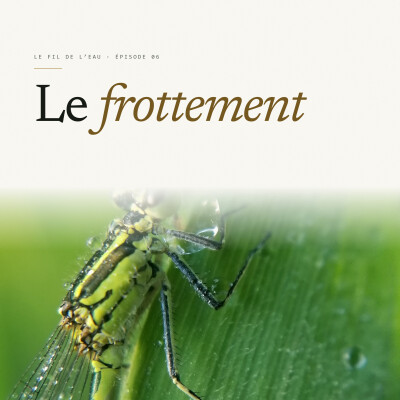 Le frottement cover