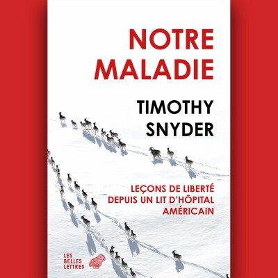 Timothy Snyder - Notre Maladie cover