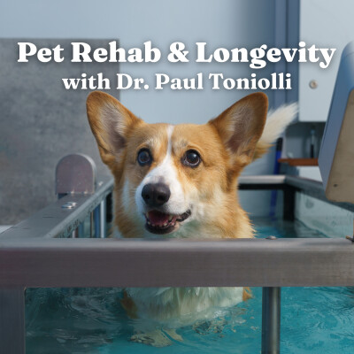What Your Vet Isn't Telling You About Dog Longevity: Rehab, Teeth & Mobility With Dr. Paul Toniolli cover
