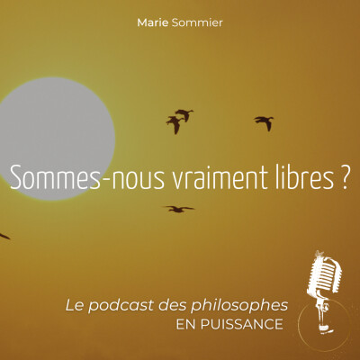 Sommes-nous vraiment libres ? cover