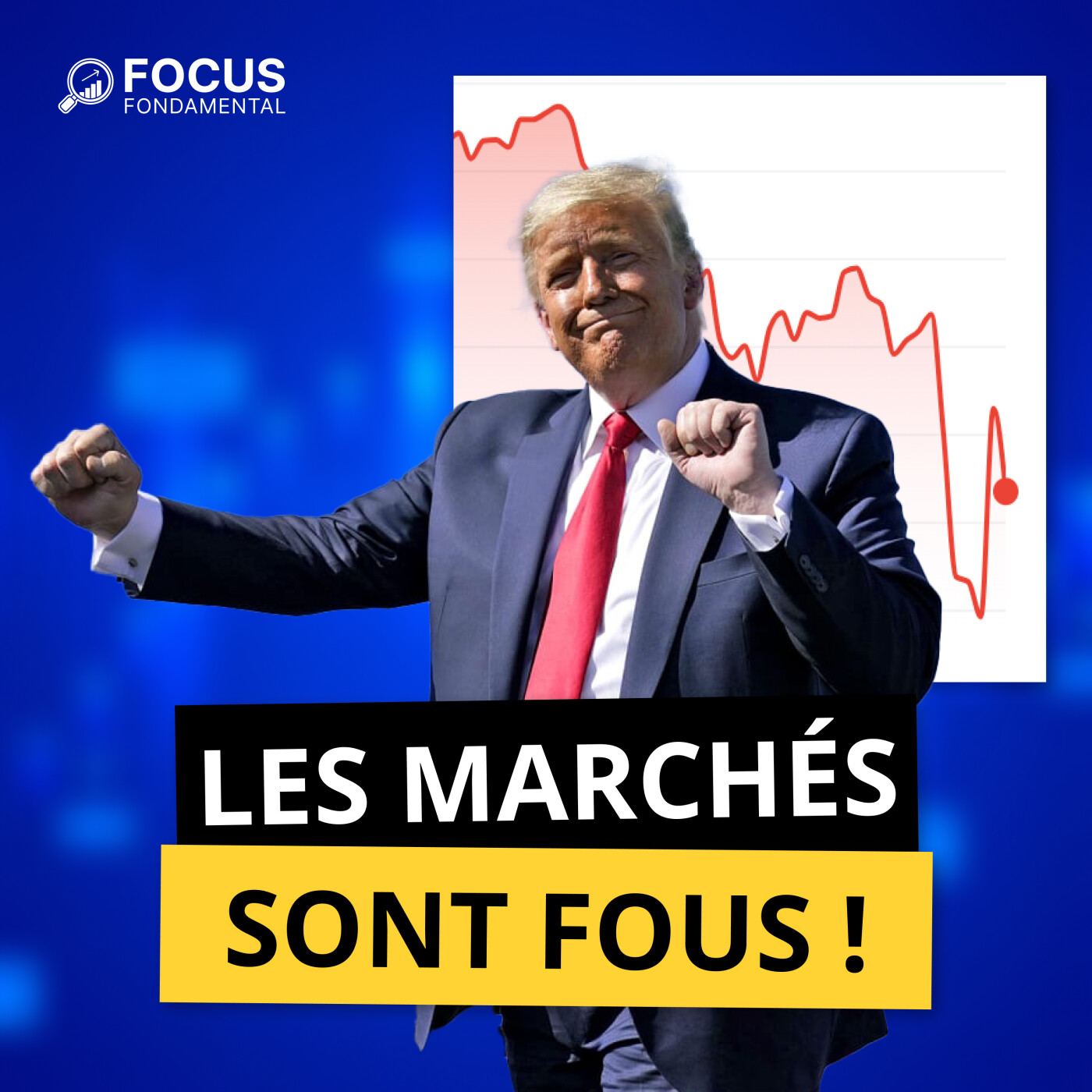 FFP(048) - Les Marchés sont FOUS ! Nos Stratégies et Actions.