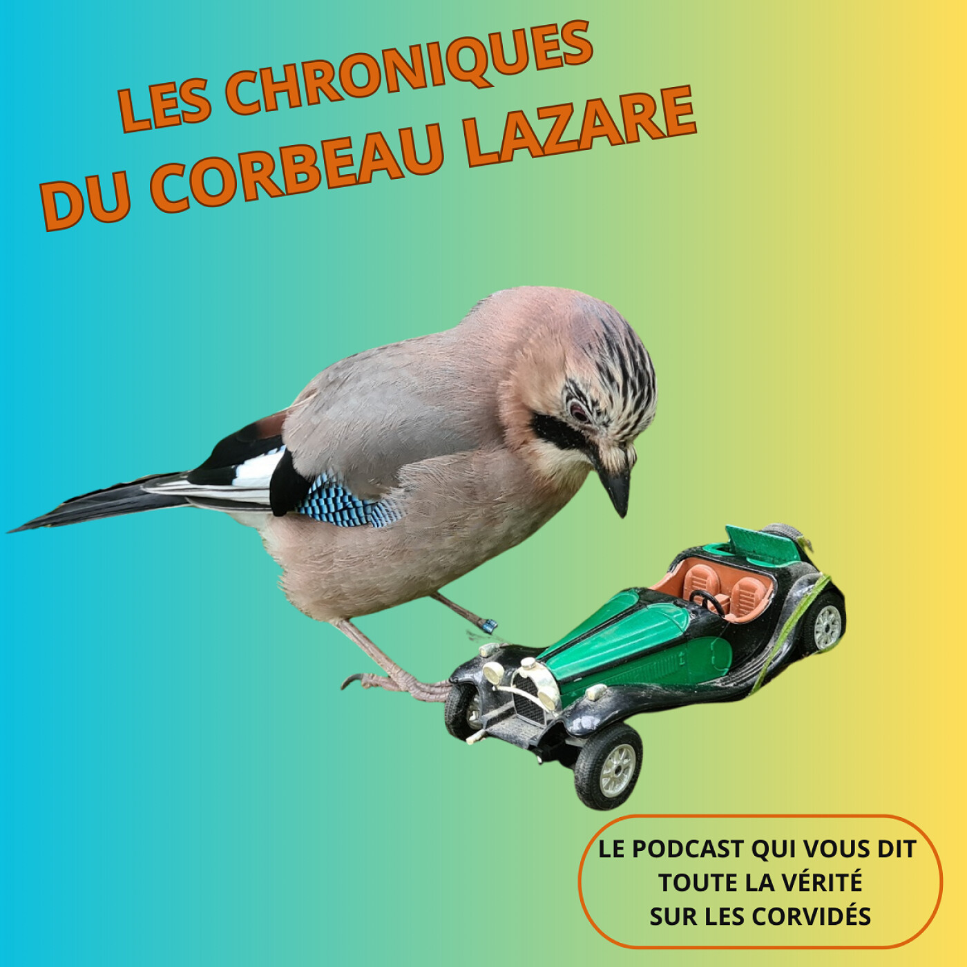 Les chroniques du corbeau Lazare