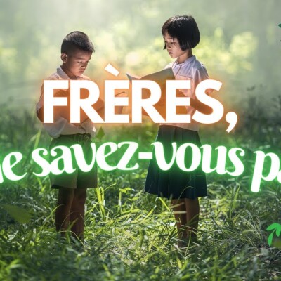 Parole et Évangile du jour | Dimanche 2 Juillet • Soutenir le Seigneur cover