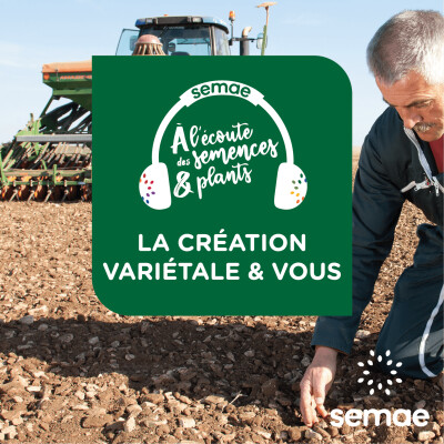 La création variétale et l'Agroécologie cover