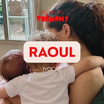 Raoul [VOCAL] cover