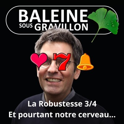 S07E03 La Robustesse 3/4 : Ce que nous apprend notre propre cerveau (Olivier Hamant) cover