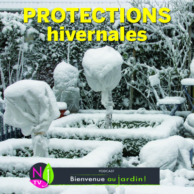 PAROLES D'EXPERTS: PROTECTIONS HIVERNALES cover
