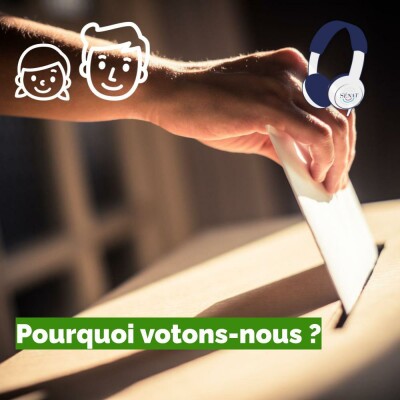 Pourquoi votons-nous ? cover