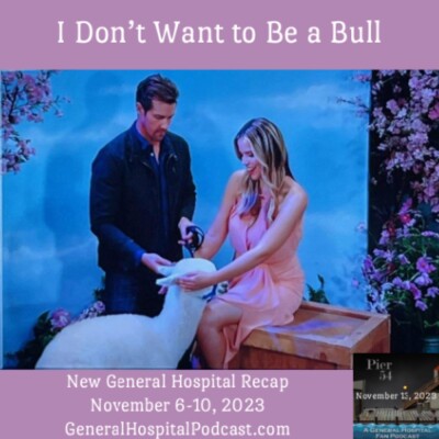 Episode 491: I Don’t Want to Be a Bull 11/13/23 cover