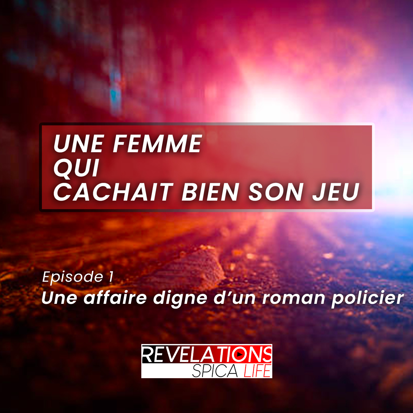 Une affaire digne d’un roman policier - Une femme qui cachait bien son jeu / Episode 1