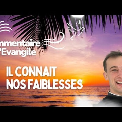 Dieu nous accompagne dans nos faiblesses | Commentaire de l'Evangile • Homélie | Dimanche 1 octobre cover