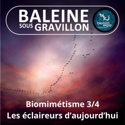 S07E38 Biomimétisme et bioinspiration 3/4 : Les éclaireurs d'aujourd'hui (Alain Renaudin) cover