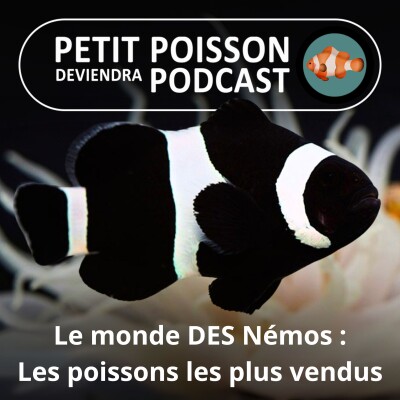 S04E18 Le monde DES Némos : Qui sont les poissons d'aquarium les plus vendus/prisés du monde ? cover