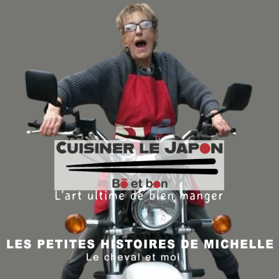 LES PETITES HISTOIRES DE MICHELLE - Le cheval et moi cover