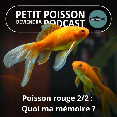 S03E20 Poisson rouge 2/2 : Qu'est qu'elle a ma mémoire ? cover