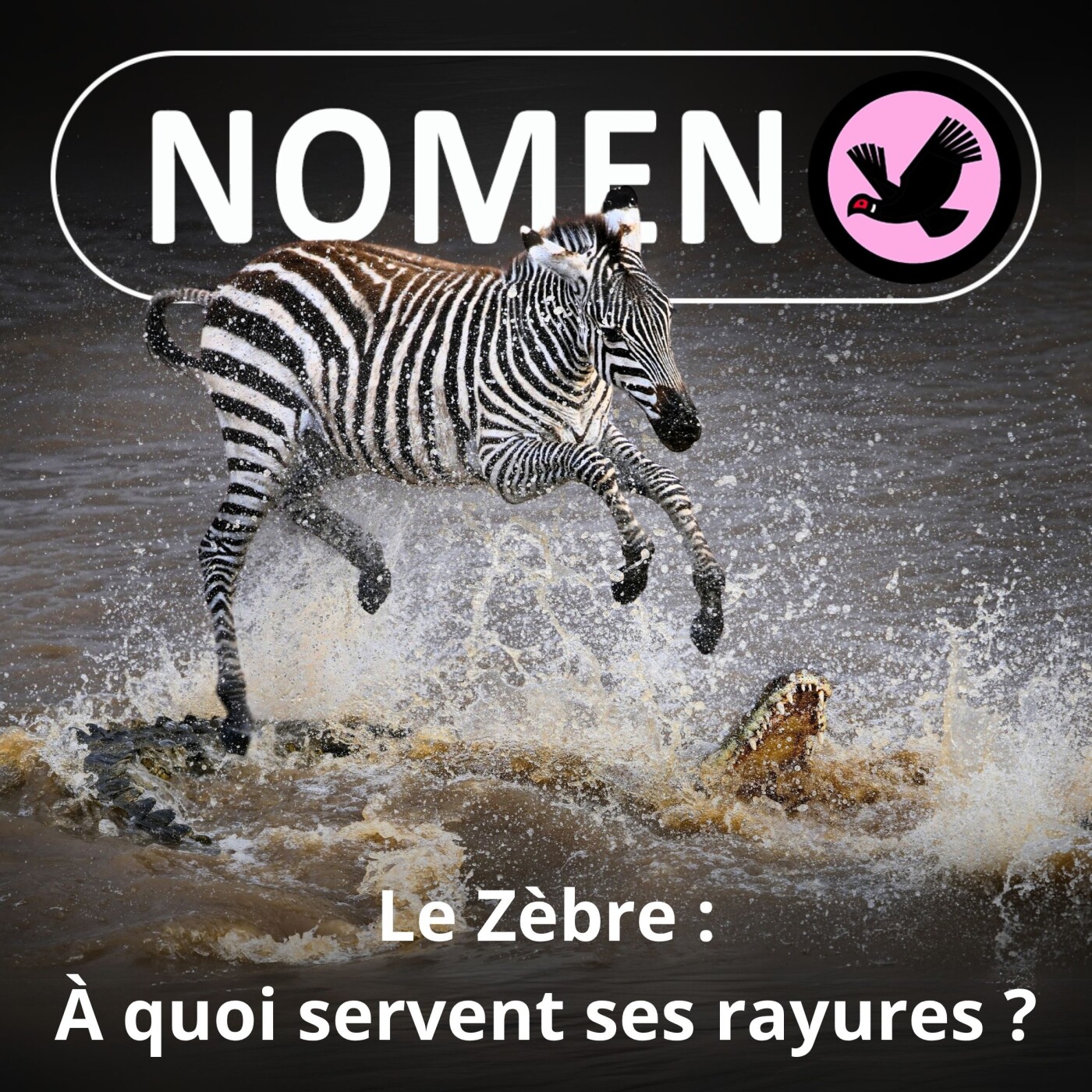 Nomen