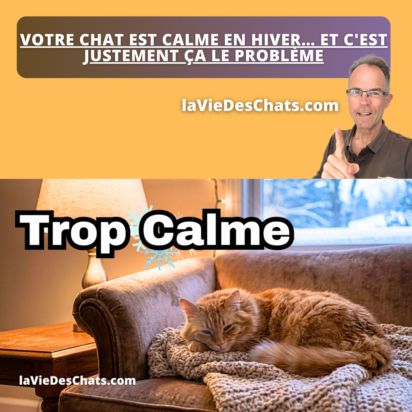 VOTRE CHAT EST CALME EN HIVER … ET C'EST JUSTEMENT ÇA LE PROBLÈME
