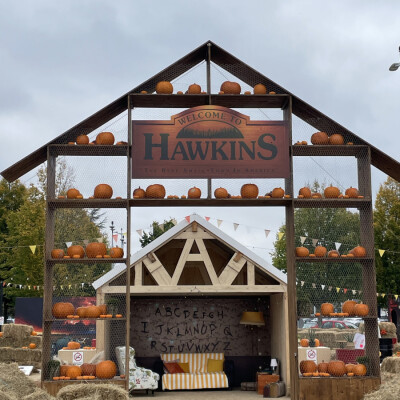 Choisissez entre Cillian Murphy ou Stranger Things ! cover