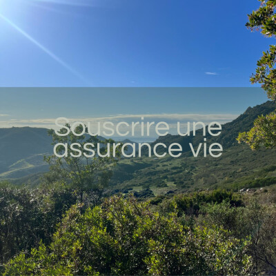Souscrire une assurance vie cover