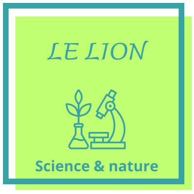 6 - Le Lion cover