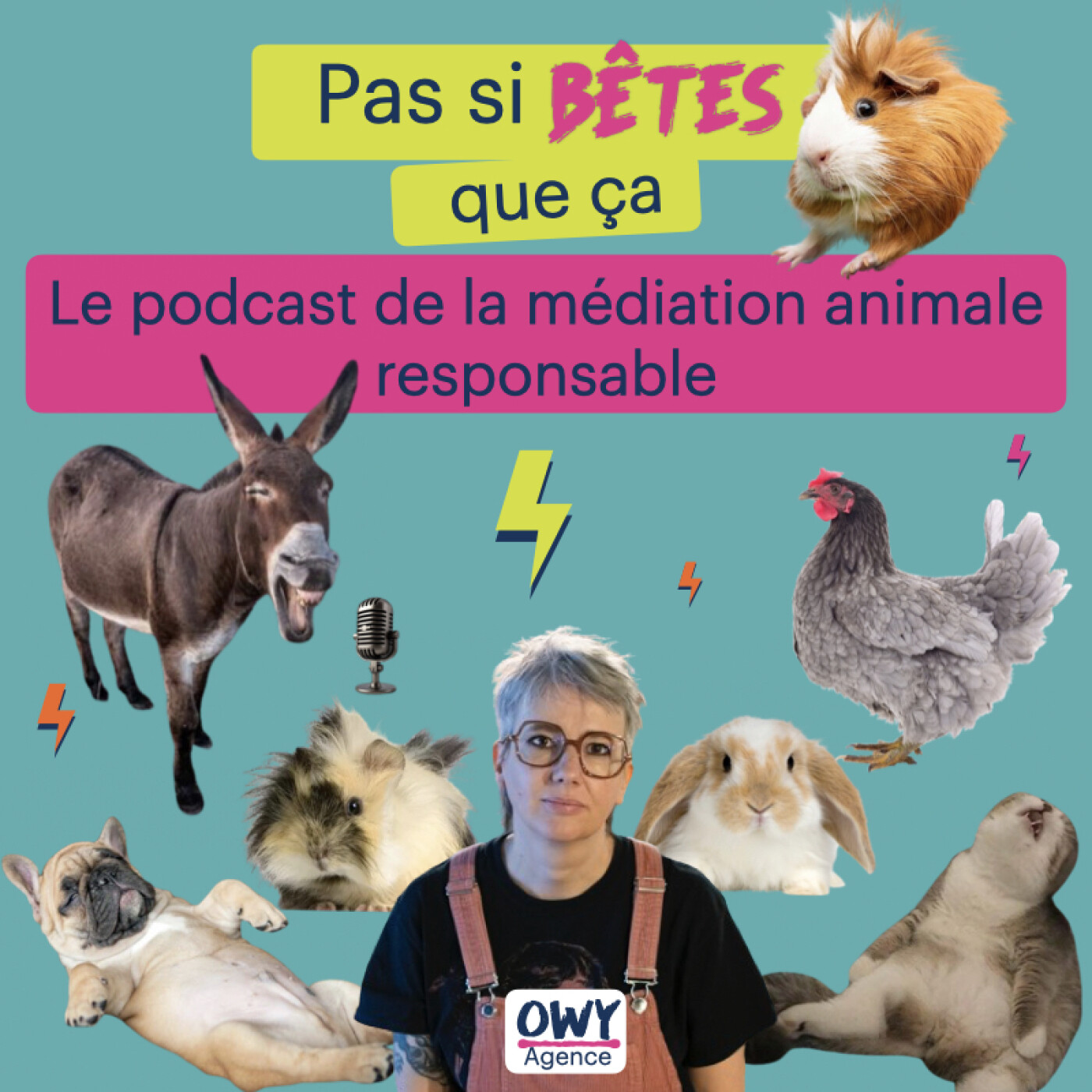 Pas si bêtes que ça
