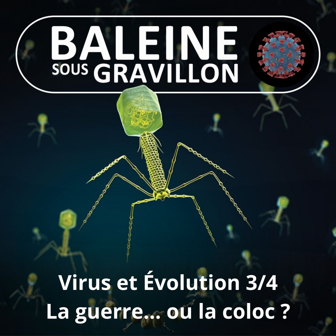 S02E96 Virus et évolution 3/4 : La guerre ou la coloc ? (Samuel Alizon) episode artwork