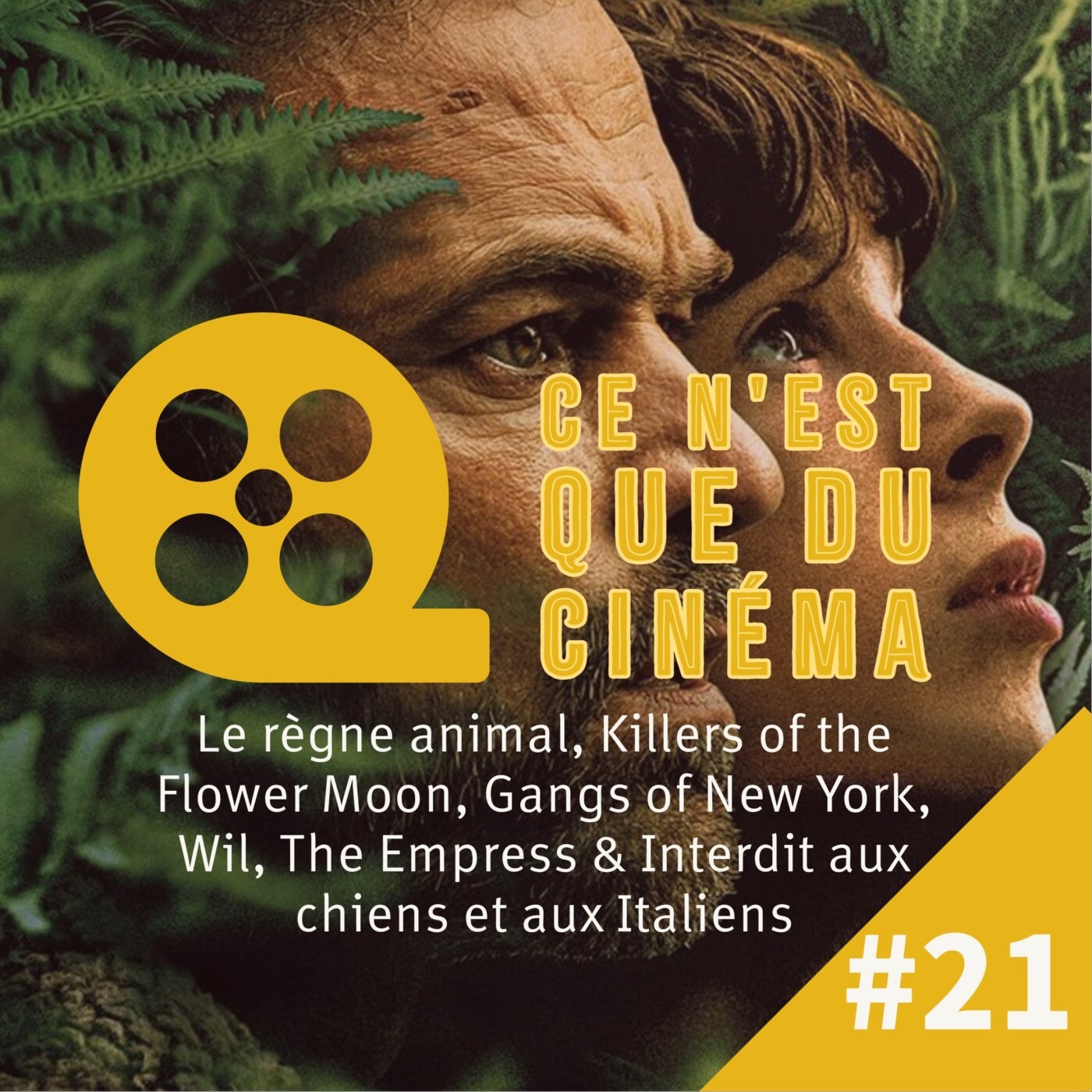 Le règne animal, Killers of the Flower Moon, Gangs of New York, Wil & Interdit aux chiens et aux Italiens