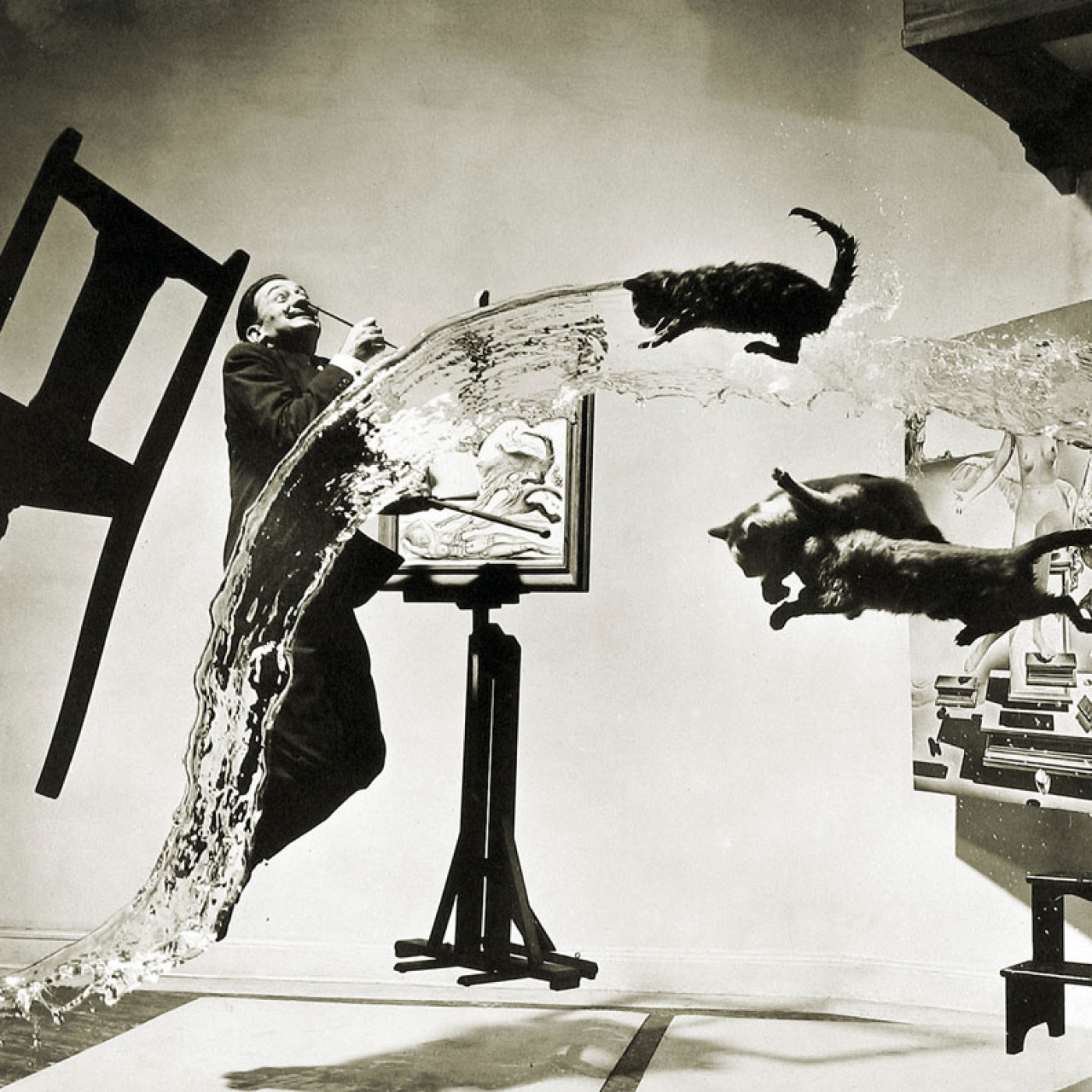 Halsman, Dali, et la jubilation photograpique episode artwork
