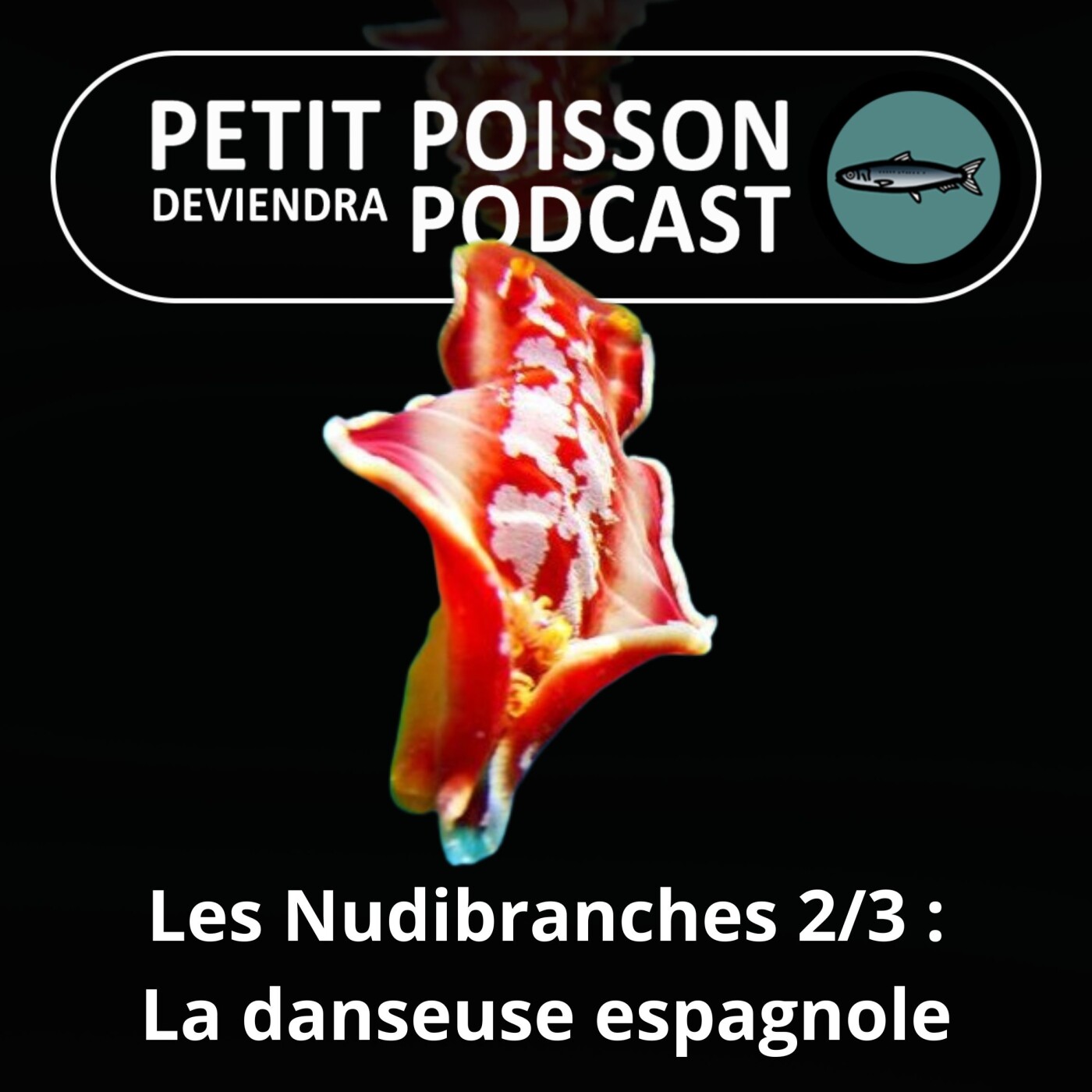 Petit Poisson deviendra Podcast