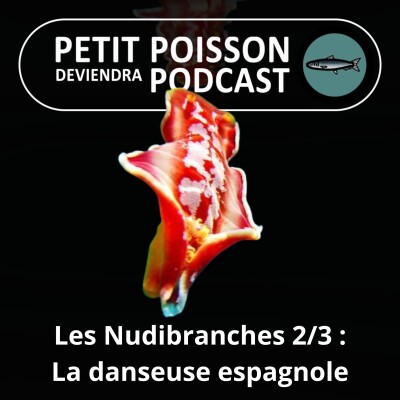 S03E06 Les Nudibranches 2/3 : La danseuse espagnole et ses cousines, hautes en couleur cover