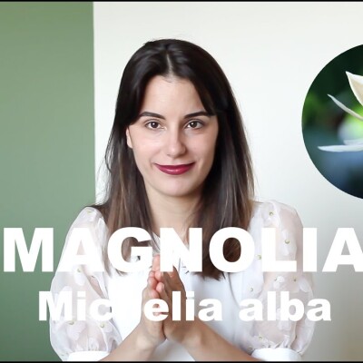 L'huile essentielle du Magnolia- Michelia alba (et olfaction) cover