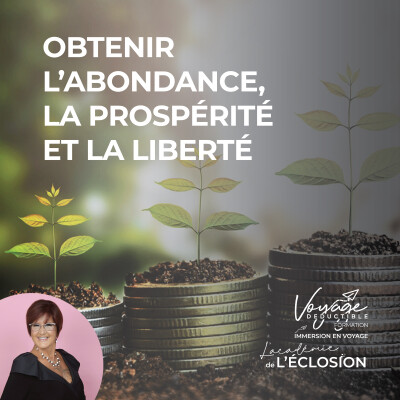 Abondance 💲  Prospérité et Liberté cover