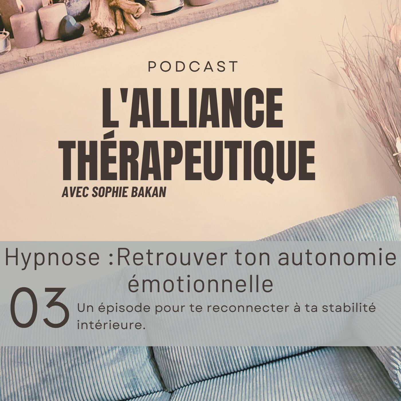 L\'Alliance Thérapeutique