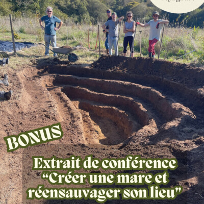 BONUS 🐸 Créer une mare et réensauvager son lieu - Extrait cover