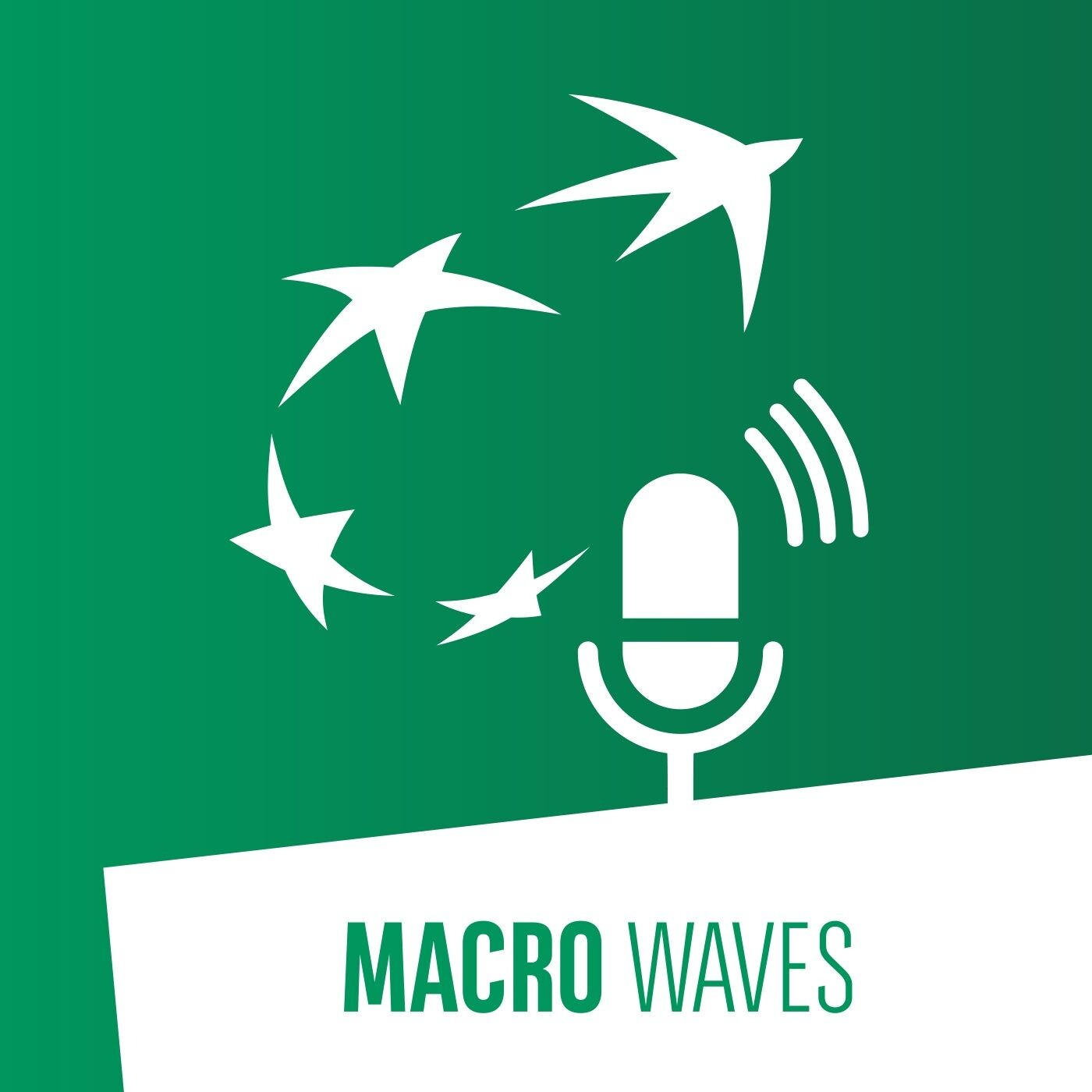 #1 – Covid-19, lockdown and the environment