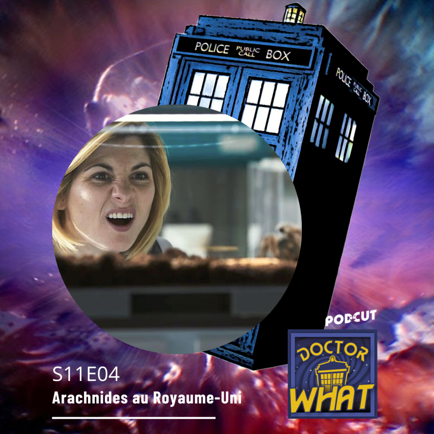 DW 151 - Arachnids in the UK (S11E04)