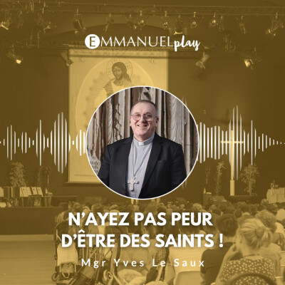 N’ayez pas peur d’être des saints – Mgr Yves Le Saux cover
