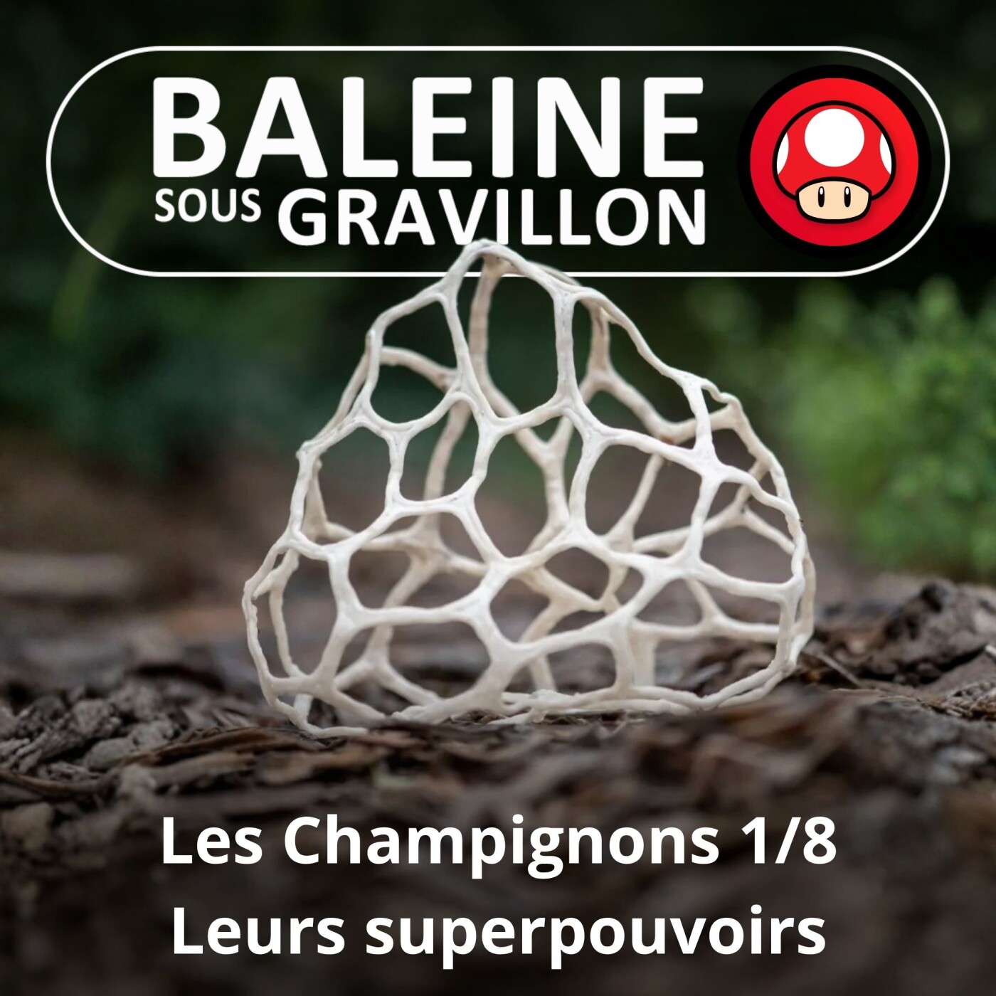 S05E38 Les Champignons 1/8 : Leurs superpouvoirs si méconnus (Guillaume Lopez) episode artwork