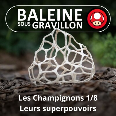S05E38 Les Champignons 1/8 : Leurs superpouvoirs si méconnus (Guillaume Lopez) cover