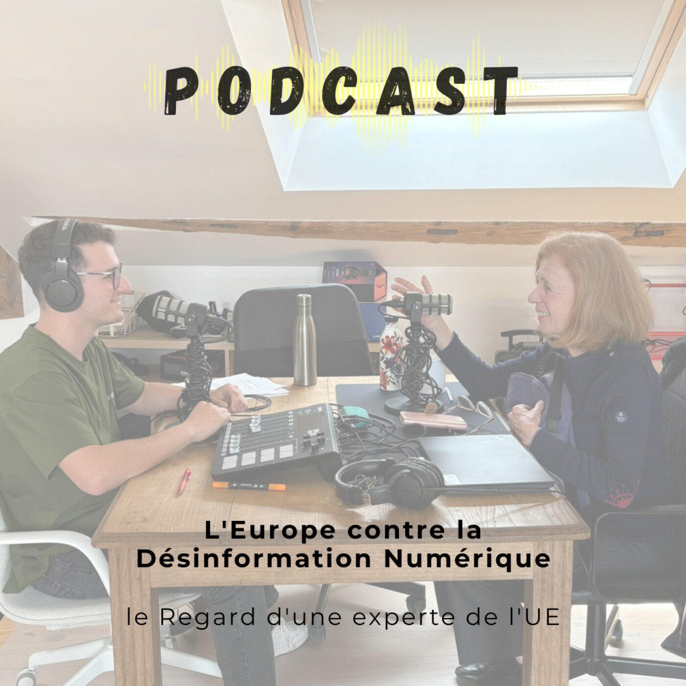 L'Europe contre la Désinformation Numérique : le Regard d'une experte de l'UE episode artwork