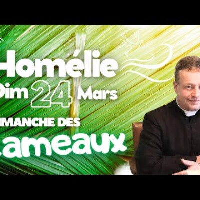 Ne rendons pas vaine la Croix du Christ    Dimanche 24 mars des Rameaux • Commentaire | Homélie cover