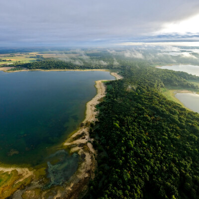 Road trip nature en forêt d'Orient ! cover