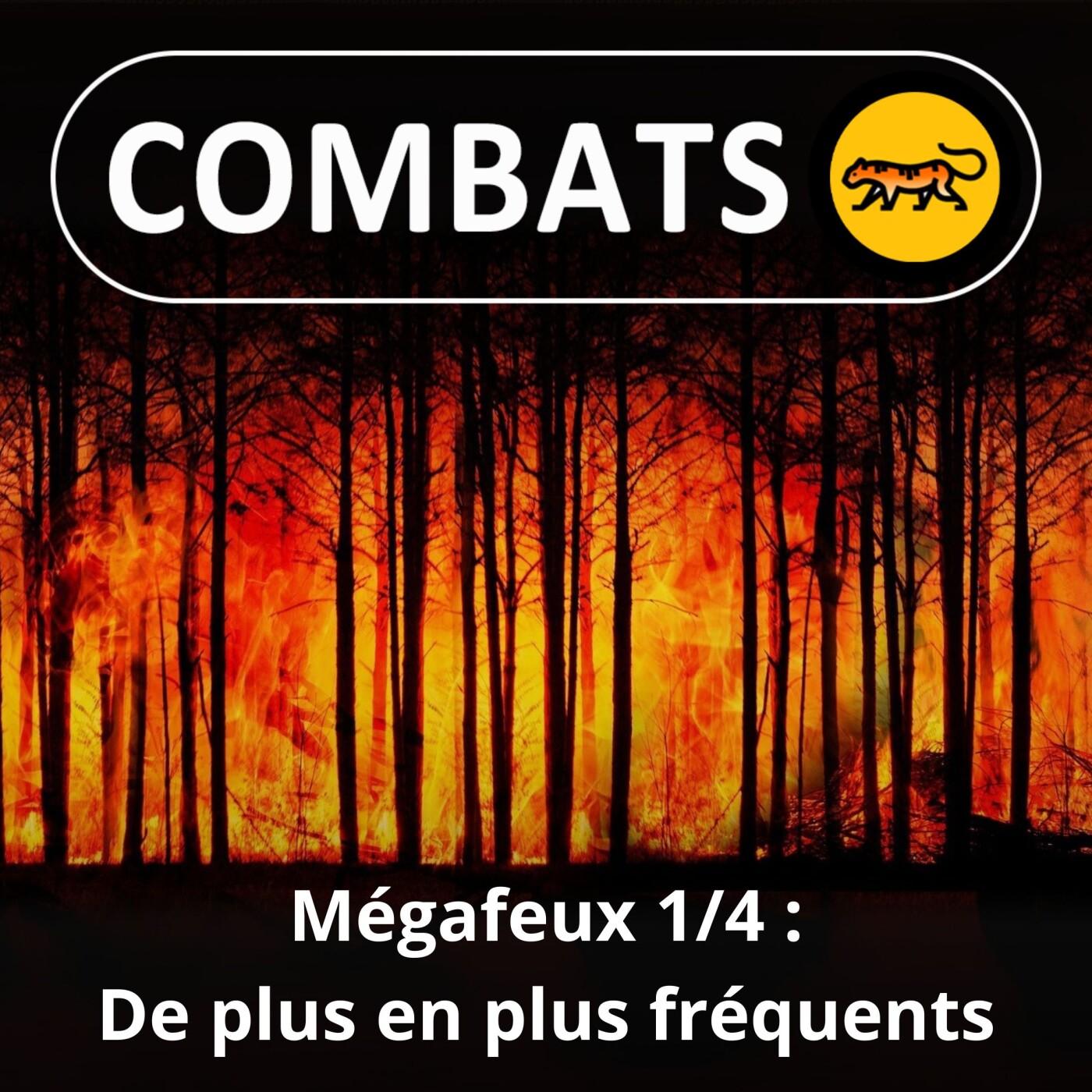 S01E42 Mégafeux 1/4 : De plus en plus fréquents (Sébastien Lahaye, pompier et scientifique)